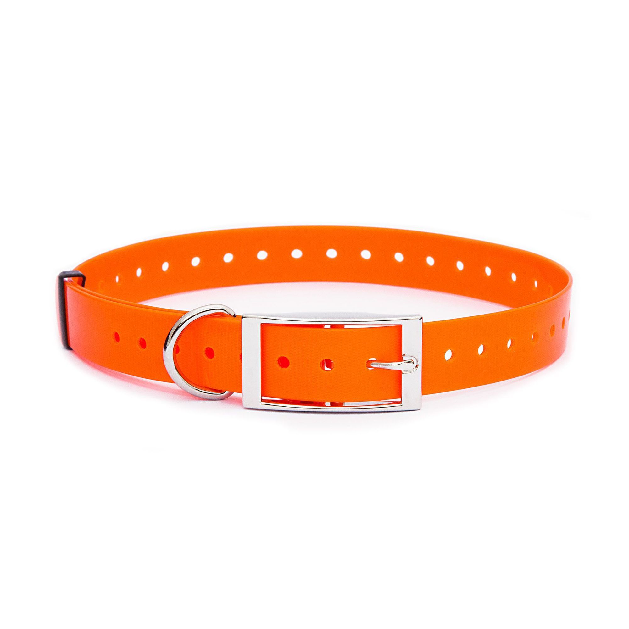 Plastic dog collar discount