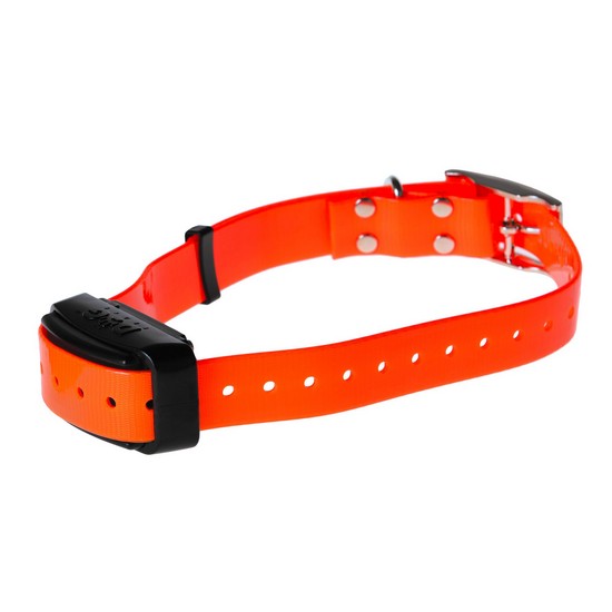 Collar for another dog d-control professional