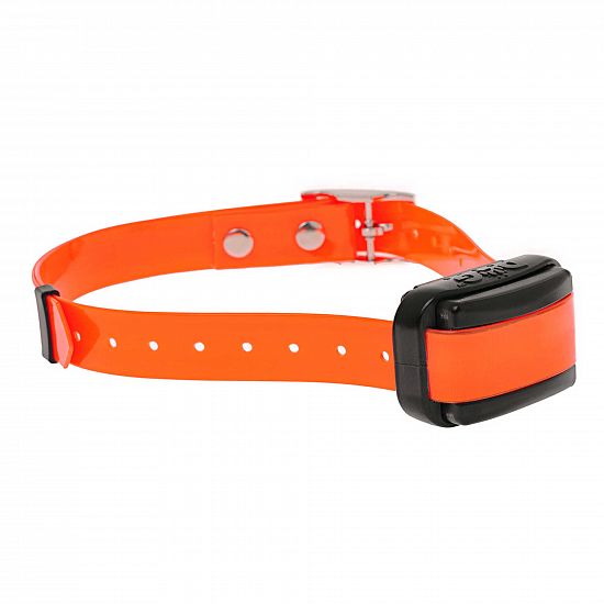 Samodzielna obroża dla psa d-control professional mini