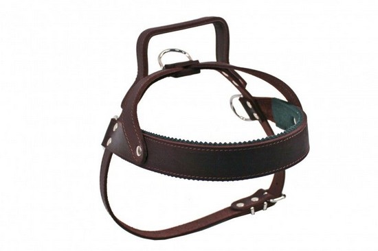 Postroj s uchem pro psa, kůže 1D č.1