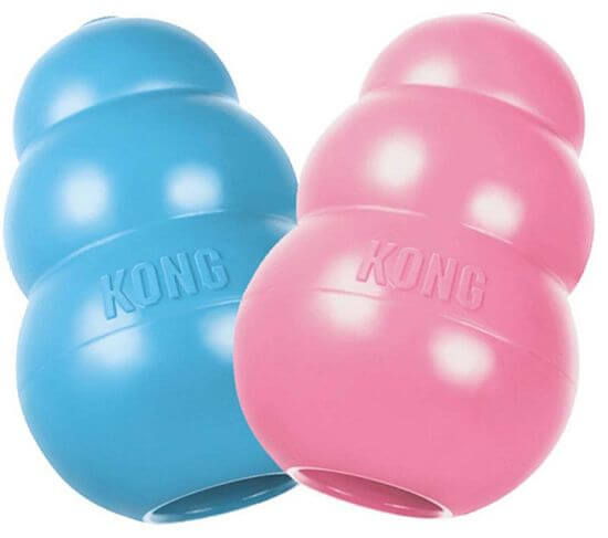 KONG Puppy pre psov