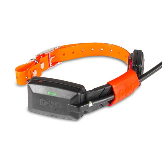 GPS collar for another dog - DOG GPS X25 Short