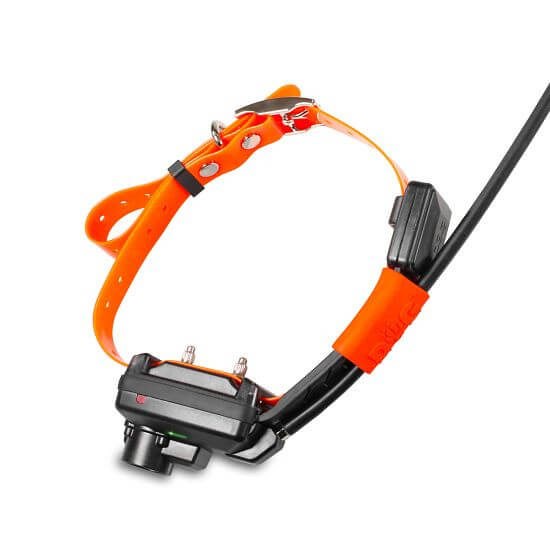 Obroża GPS dla małych psów DOG GPS X25TB Short - moduł treningowy i dźwiękowy