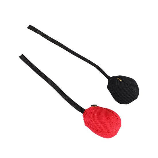 Piłka Ringo dla psów, z plecakiem