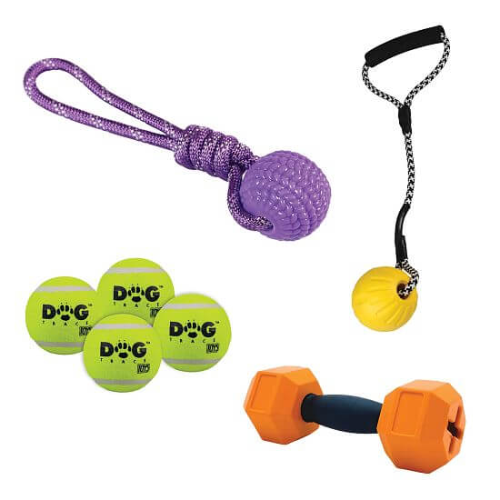 Zestaw świąteczny Aportation dla mniejszych psów