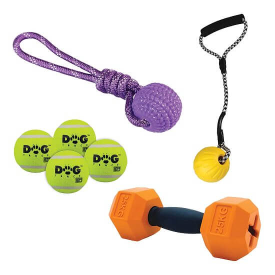 Aportovacia súprava pod stromček pre stredné a veľké psy