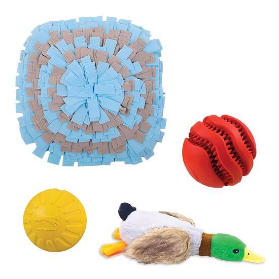 Sada interaktivních hraček pro pejsky