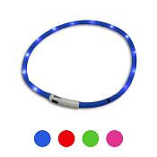 LED light collar for dogs, various colours