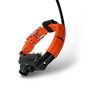 GPS collar for another dog - DOG GPS X25TB