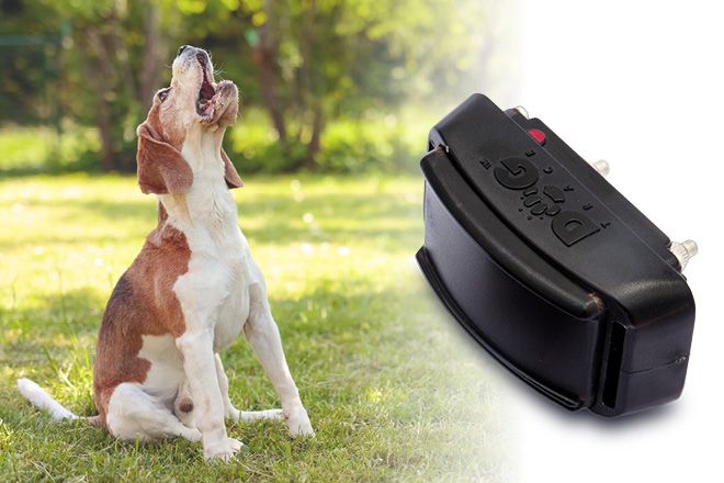 Principle of operation