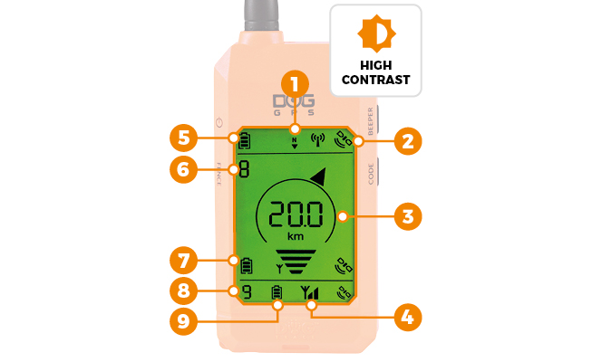 Everything at a glance