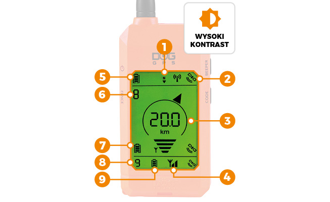 Wszystko widoczne na pierwszy rzut oka