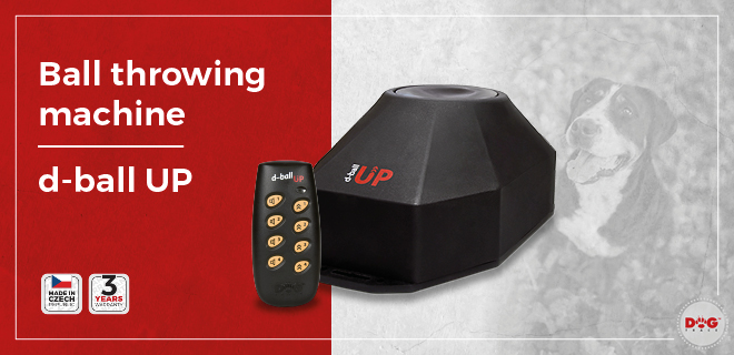 d-ball UP