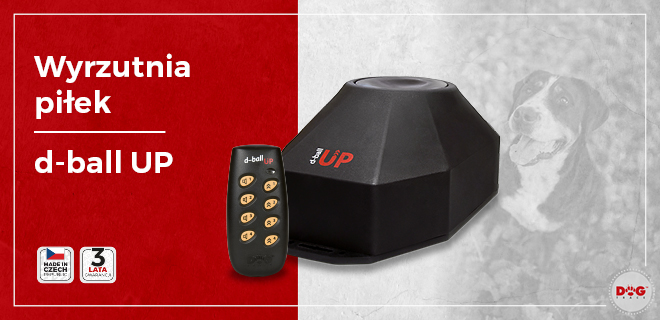 d-ball UP