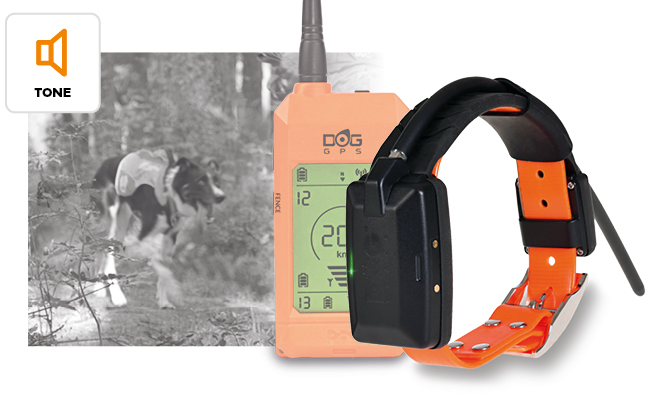 Base model - DOG GPS X30