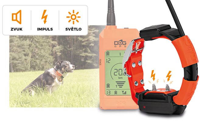 Lokátor a výcvikový obojok v jednom - DOG GPS X30T