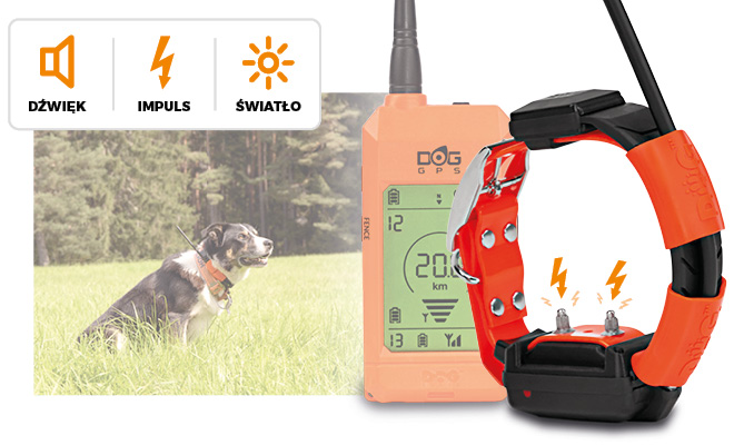 Lokalizator i obroża treningowa w jednym - DOG GPS X30T