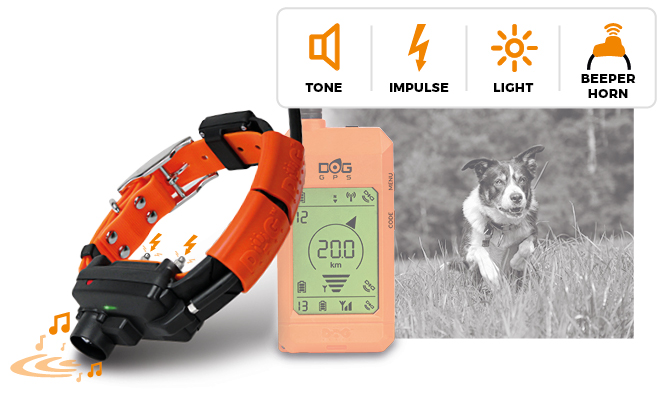 DOG GPS X30-TB