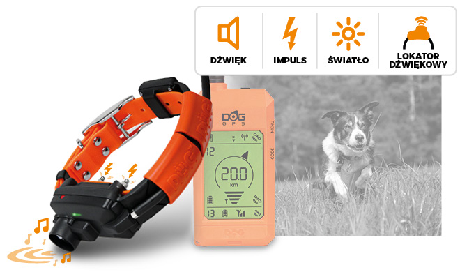 Pełne wyposażenie - DOG GPS X30TB