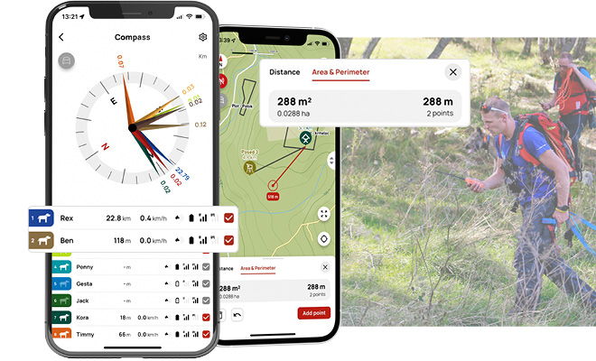 Zawsze we właściwym kierunku