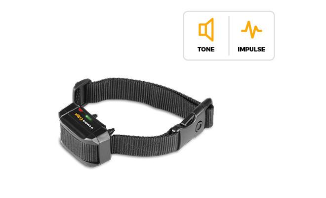 Training collar as a safe product