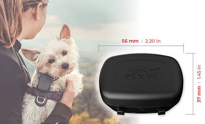 Naprawdę małe wymiary