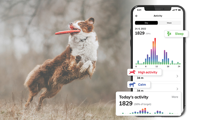 Track and share your pet's activities