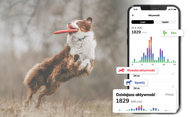 Śledź i udostępniaj aktywność swojego zwierzaka