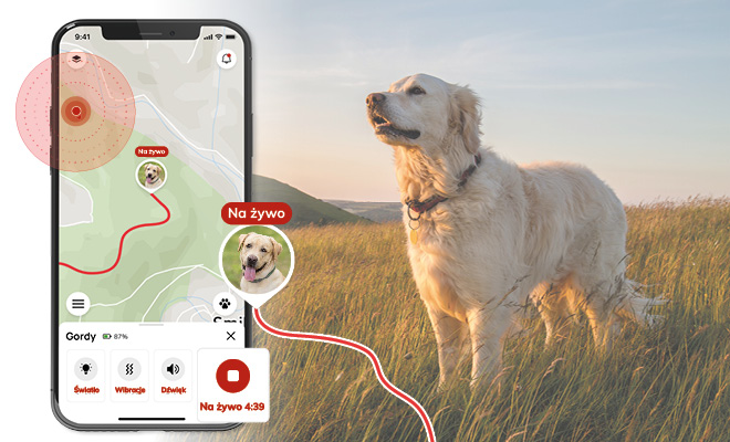Lokalizator GPS z najdokładniejszym zapisem trasy na rynku