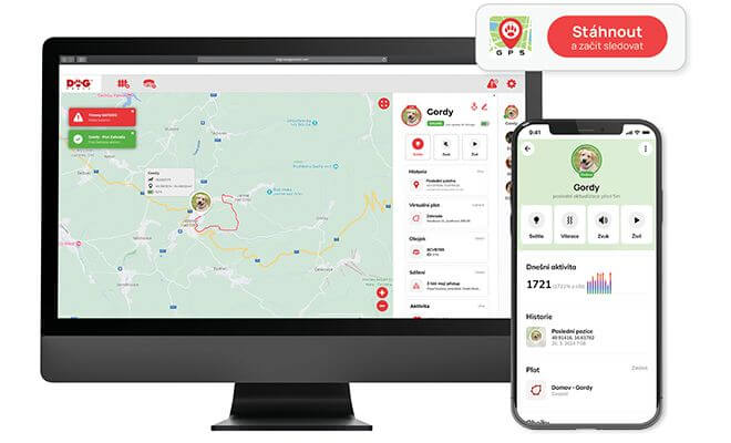 Wszystko wyraźnie w zaawansowanej aplikacji Pet Tracker