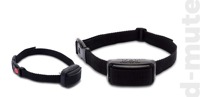 Funkcie a vlastnosti obojkov d-mute