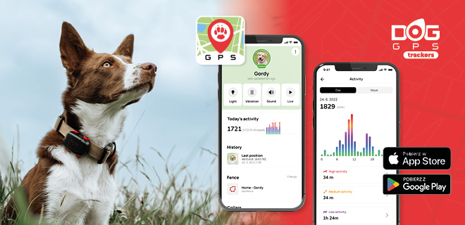 Funkcje i cechy aplikacji Pet Tracker