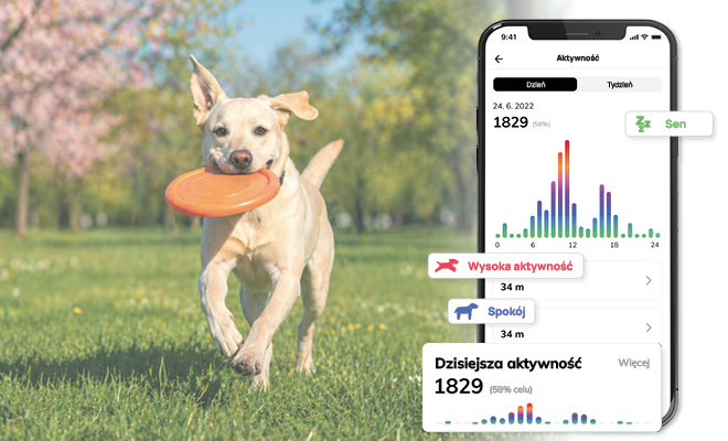 Kondycja i monitor aktywności