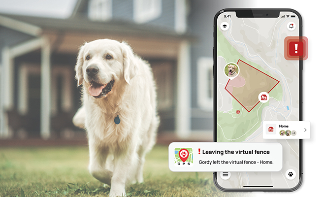 Home zones with virtual fences