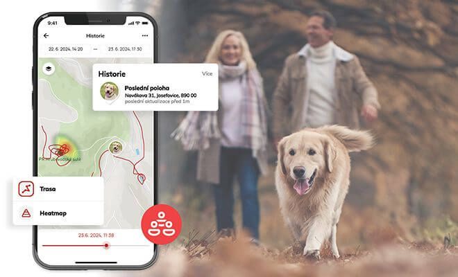 Roční zobrazení historie tras