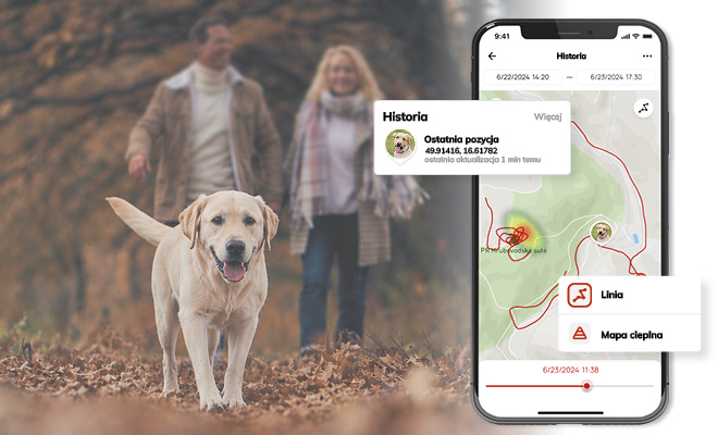 Roczny przegląd historii tras