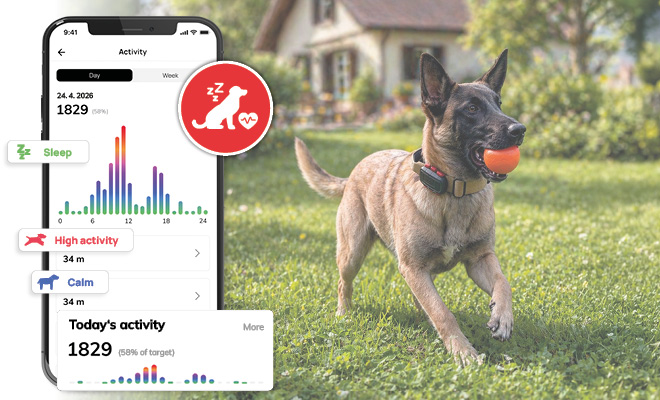 AI biorhythm monitoring
